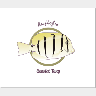 Convict Tang Posters and Art